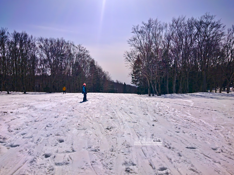 青森滑雪場,八甲田滑雪場,日本樹冰