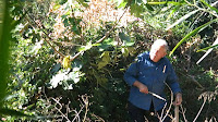 Catching Birds With Nets