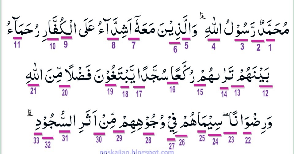 Hukum Tajwid Al-Quran Surat Al-Fath Ayat 29 Lengkap Penjelasannya