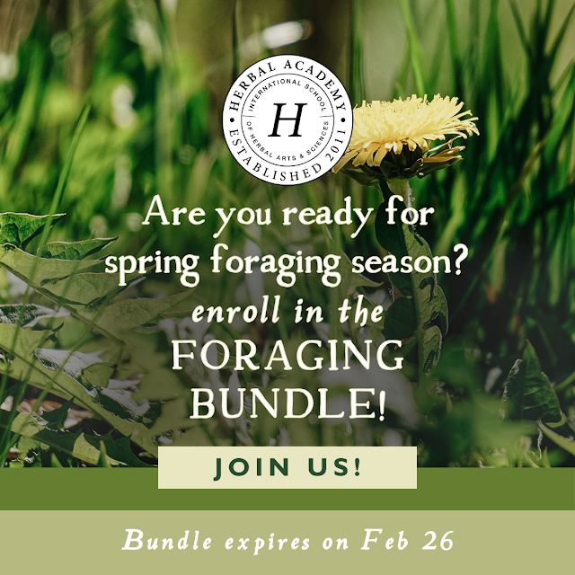 Are you ready for spring foraging season? Here’s everything you need