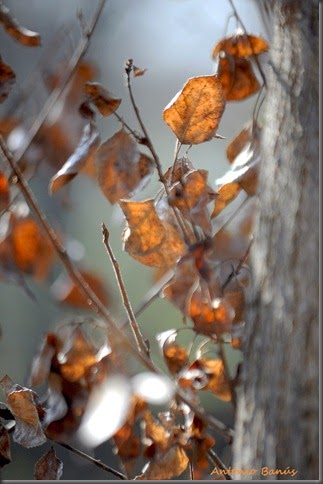 _DSC5573X1