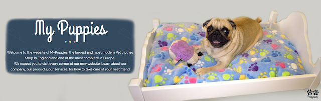 pet-clothes-shop-london