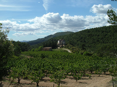 VALLFLOR (COLL D'ARCA) I MONTMELL, Masia de Cal Magí Vidal