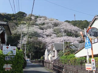197dev-DSCF0531
