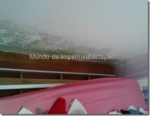 impermeabilizante parede (2)