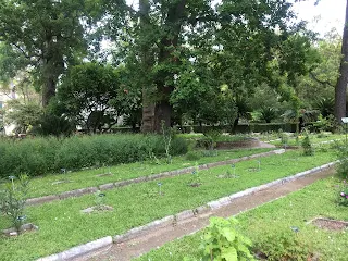 ピサ植物園