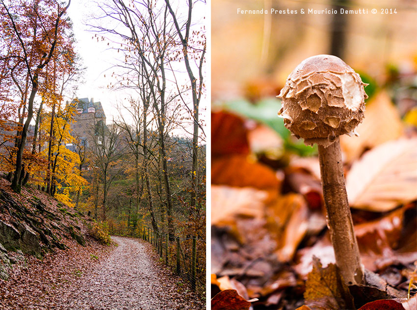 caminho do castelo de Burg-Eltz e cogumelo