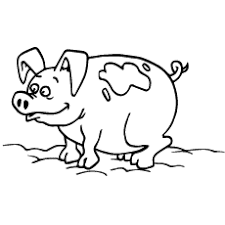 Pig Coloring Sheet Animals For Free Download