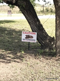 Glad we didn;t see any!