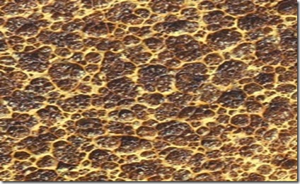 cells