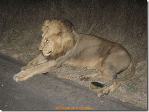 Africa 002