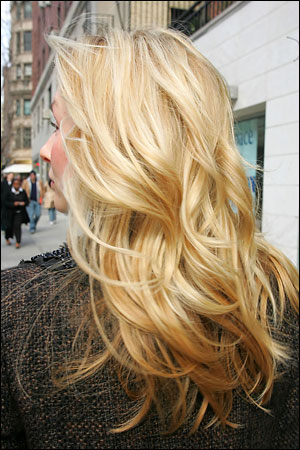 Alfredo Argyle Salon blonde hair color