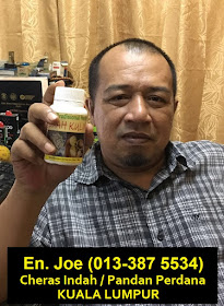 BUAH KULIM: HERBA ISTIMEWA, KAPSUL BUAH KULIM. PETUA LAMA 