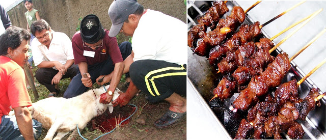 6 Rambu-rambu Yang Wajib di Perhatikan Ketika Memakan Daging Kambing , No 3 Sering Kita Abaikan !