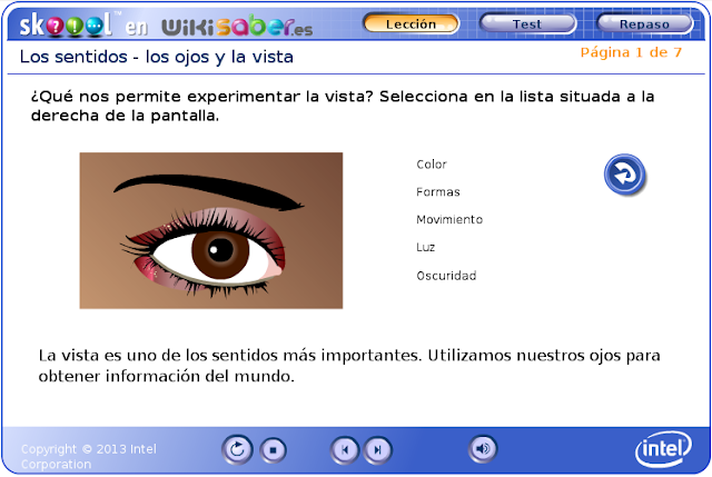 http://www.skoool.es/content/science/eyes_and_seeing/index.html