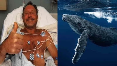 The-whale-was-stuck-in-the-stomach-for-3-days-in-jail