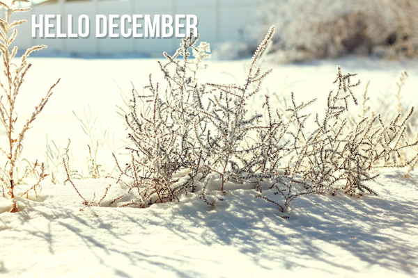 December2012