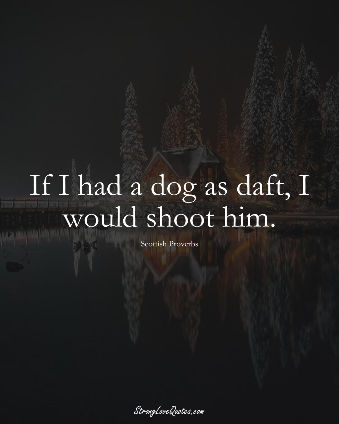 If I had a dog as daft, I would shoot him. (Scottish Sayings);  #EuropeanSayings