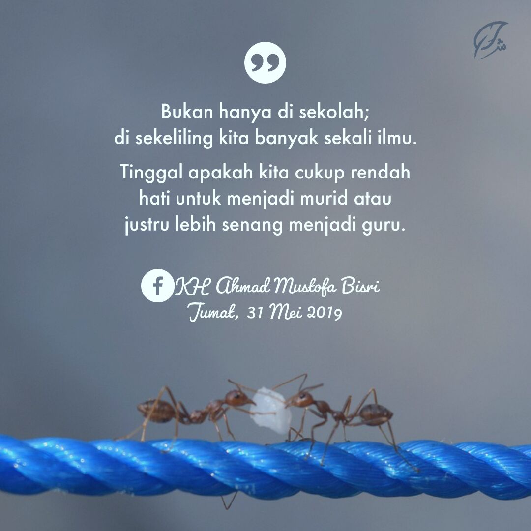 Quotes Cinta Gus Mus - Daily Quotes