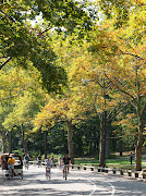 Central Park (central park bicycles)