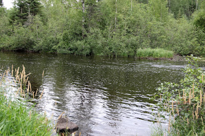 trout stream: a fine place to spend a July day