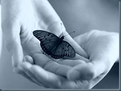 mariposa_mano