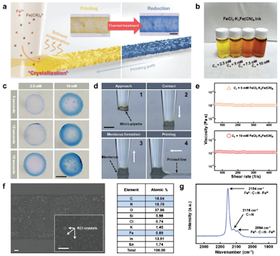 Mebuscus-guidedMicroPrinting