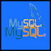 Execute query in mysql using command prompt