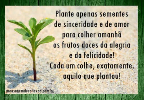 frase de reflexao