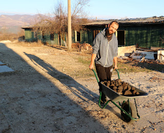 A wheelbarrow full of coal for the neighbours