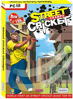 Street Cricket 2010 PC Game