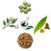 Herbal powders and it  uses 