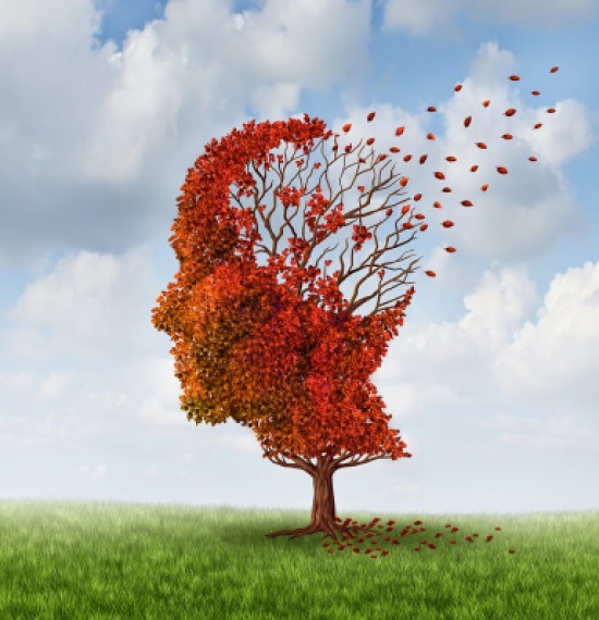  مشكلات صحية تؤثر على قوة الذاكرة
