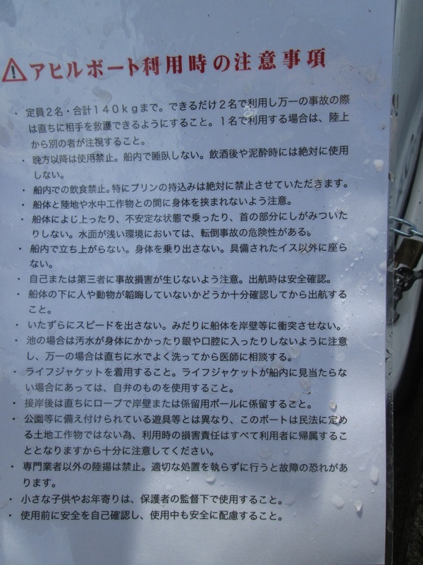 筑波大学松美池に現れたスワンボート「博士号」の真相