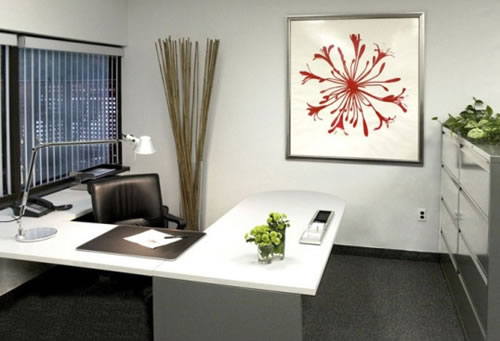 Fresh Office Design