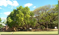 2Springvale