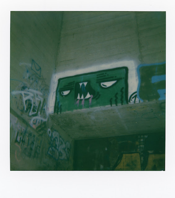 Polaroid Originals Color 600 Film