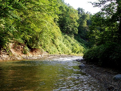 P8080001.jpg