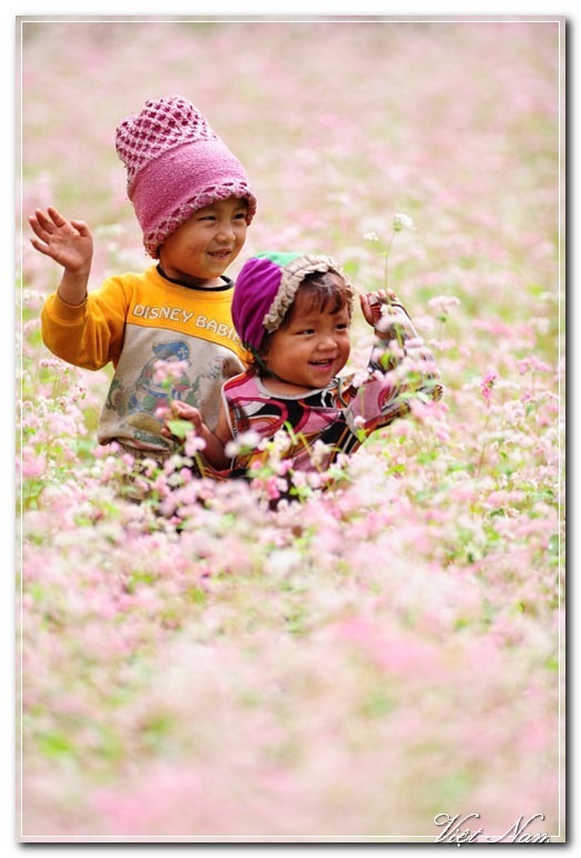 Cảnh Đẹp Việt Nam