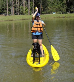 Pets Adventure 7 (110_1) (18)
