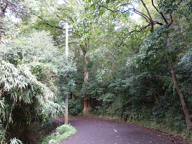 湊山公園の昔の国道９号線