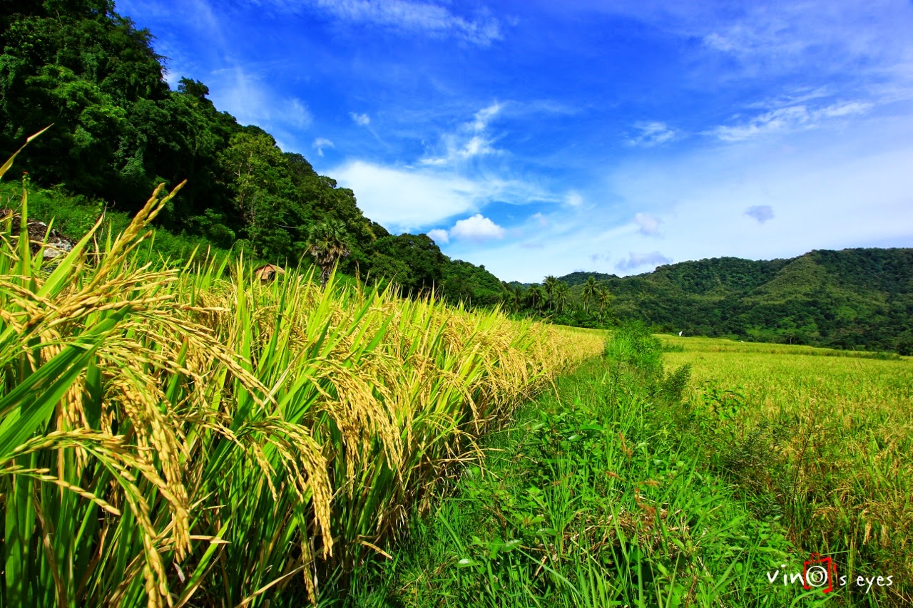 My Eyes My Imagination Rice field & Sunset at Barru Beach