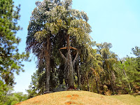 Parque Ecológico de Barueri