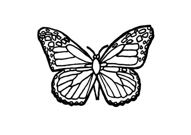  butterfly coloring books butterfly coloring clipart butterfly coloring title=