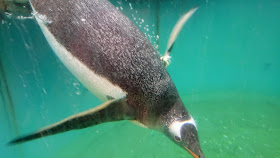 北海道 登別マリンパークニクス