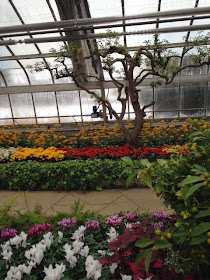 centennial park greenhouse toronto