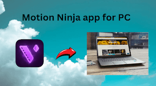 Motion Ninja app for PC