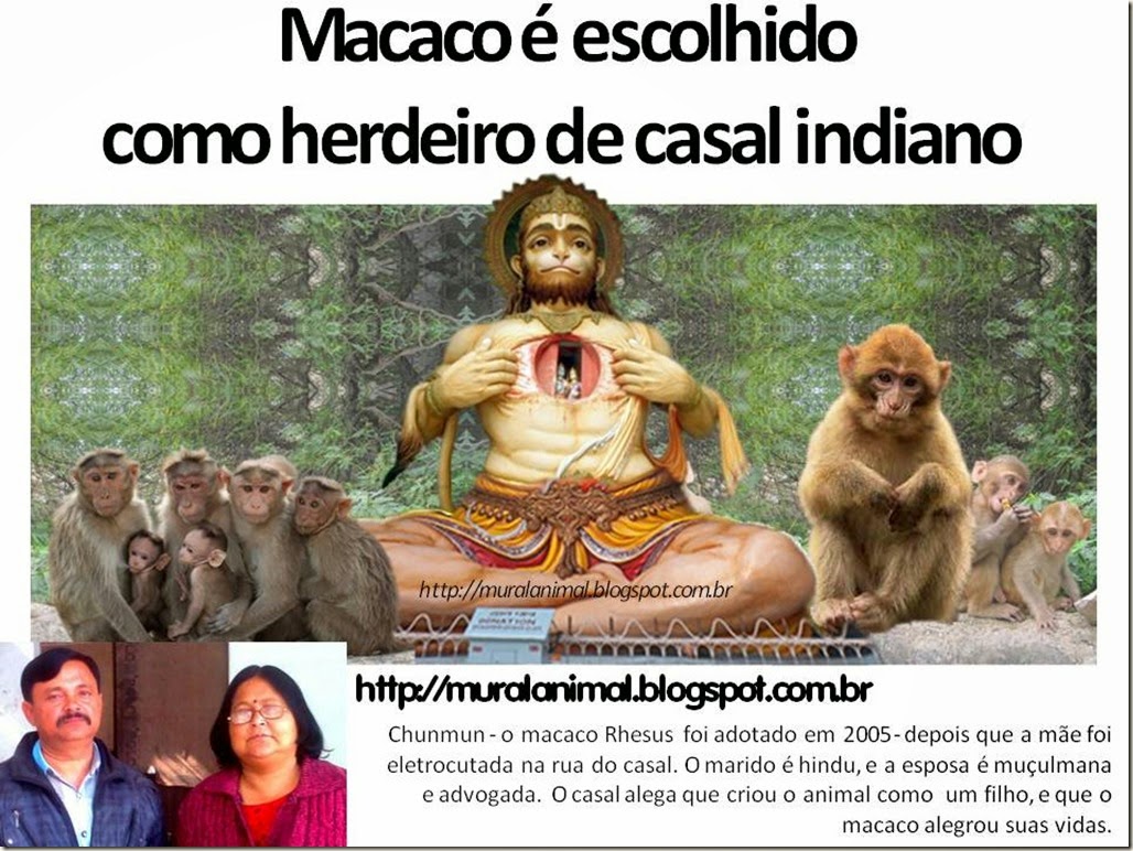 Macaco_herdeiro