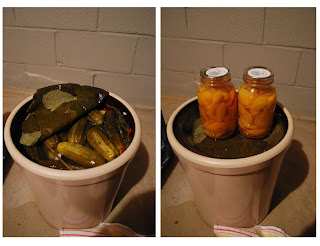 Pickle crock filled with yummy pickles!