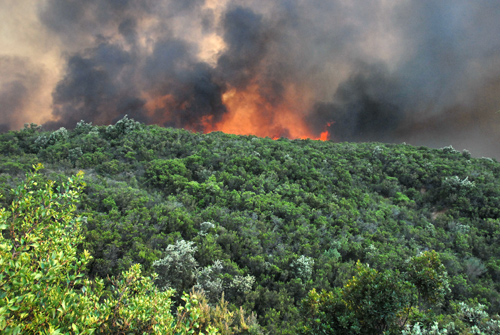 ΔΗΜΟΣ ΜΟΝΕΜΒΑΣΙΑΣ:Εφαρμογή μέτρων για την πρόληψη και αντιμετώπιση κινδύνων από δασικές πυρκαγιές